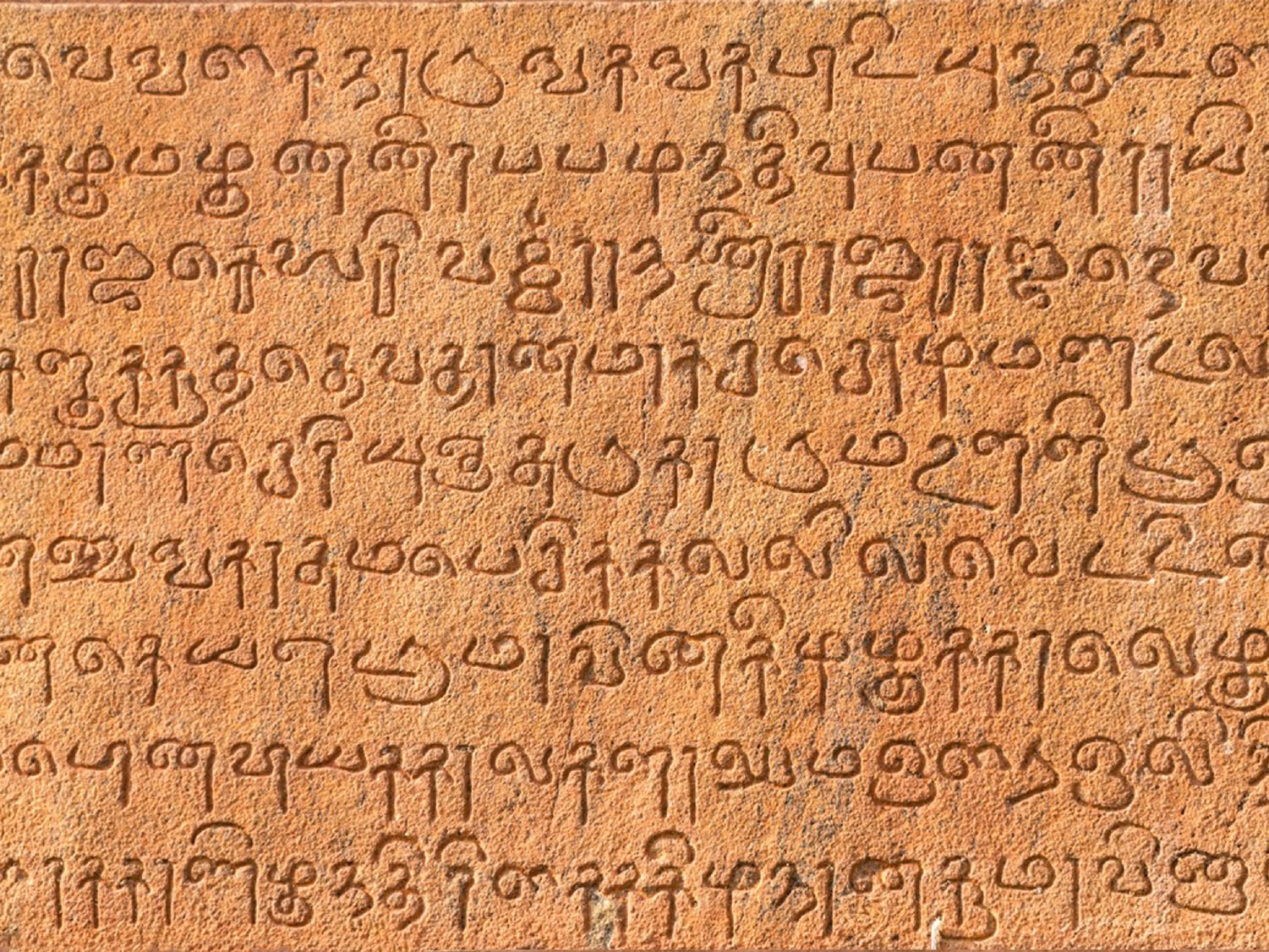 Chola inscription in Tamil from the 12th century C.E